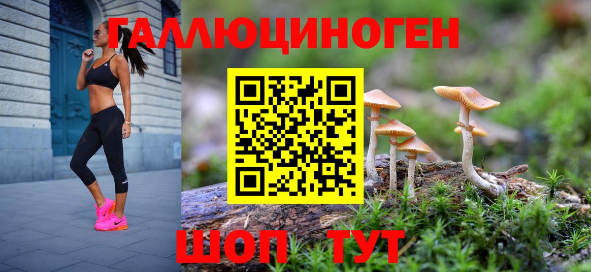 Аша  Галлюциногенные грибы Psilocybine cubensis  Вход с VPN 